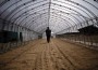 Thee greenhouse in Fukushima is to have PV installations