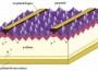 solar cells