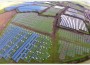 solar farm