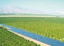 solar farm