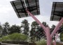 solar PV flamingos