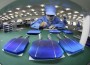 trina solar pv record