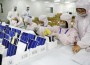 solar panels made in China