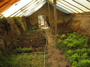 greenhouse_gardening