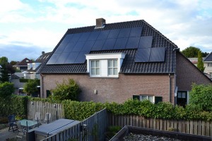 black polycristaline module available from next year black polycristaline module introduced by AxSun
