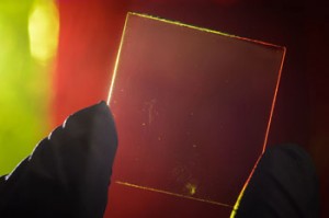 solar panels