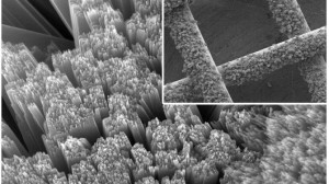 solar battery 