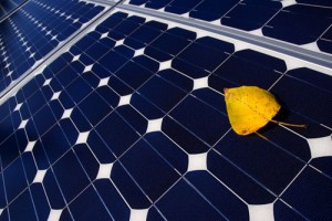 solar panel 
