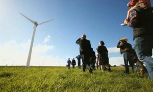 wind farm 