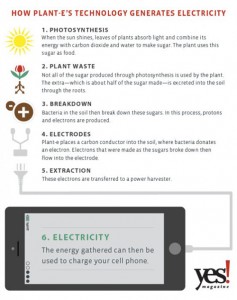 Plant-e 