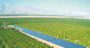 solar farm 