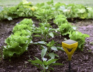 Solar-powered soil sensor
