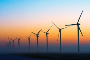 wind farm 